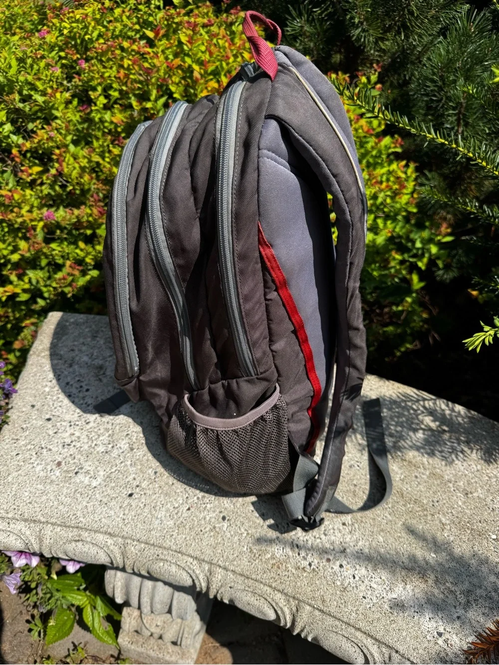 REI Classic Men's Gray Backpack with Red Accents
